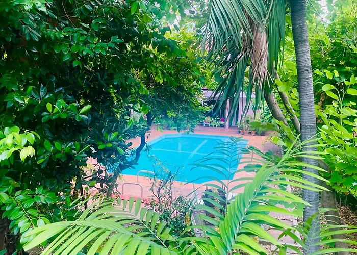 The Backyard 28